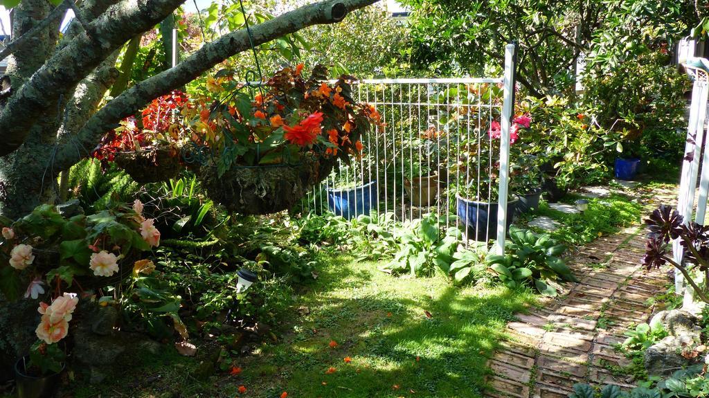 Ashcroft Gardens Bed&Breakfast Napier Exterior foto