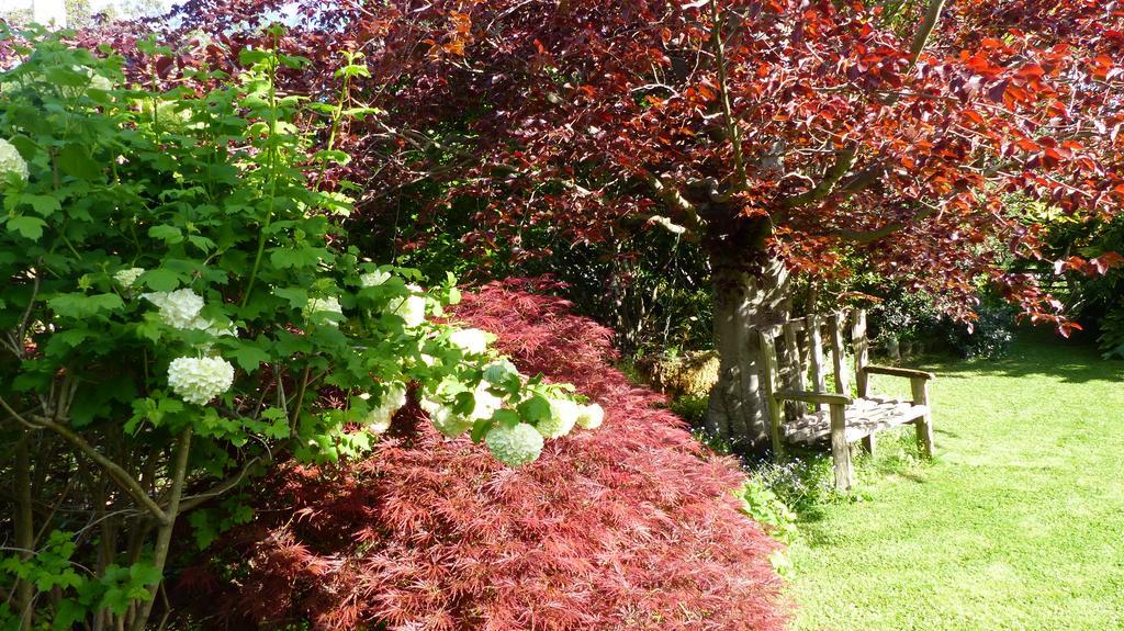 Ashcroft Gardens Bed&Breakfast Napier Exterior foto