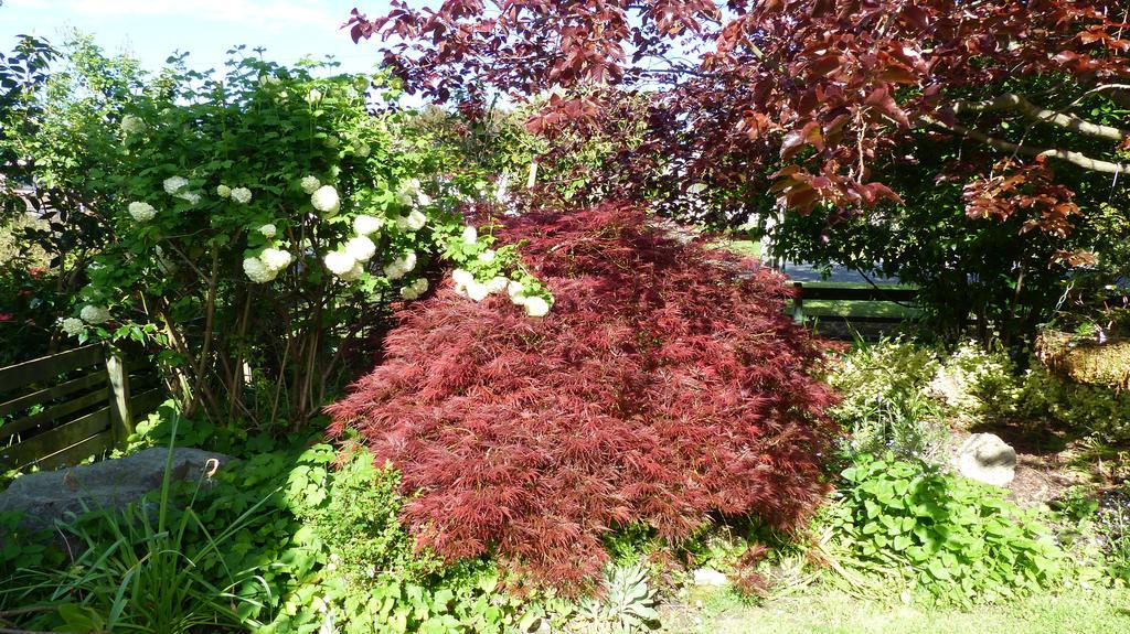 Ashcroft Gardens Bed&Breakfast Napier Exterior foto