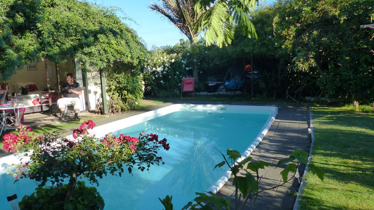 Ashcroft Gardens Bed&Breakfast Napier Exterior foto